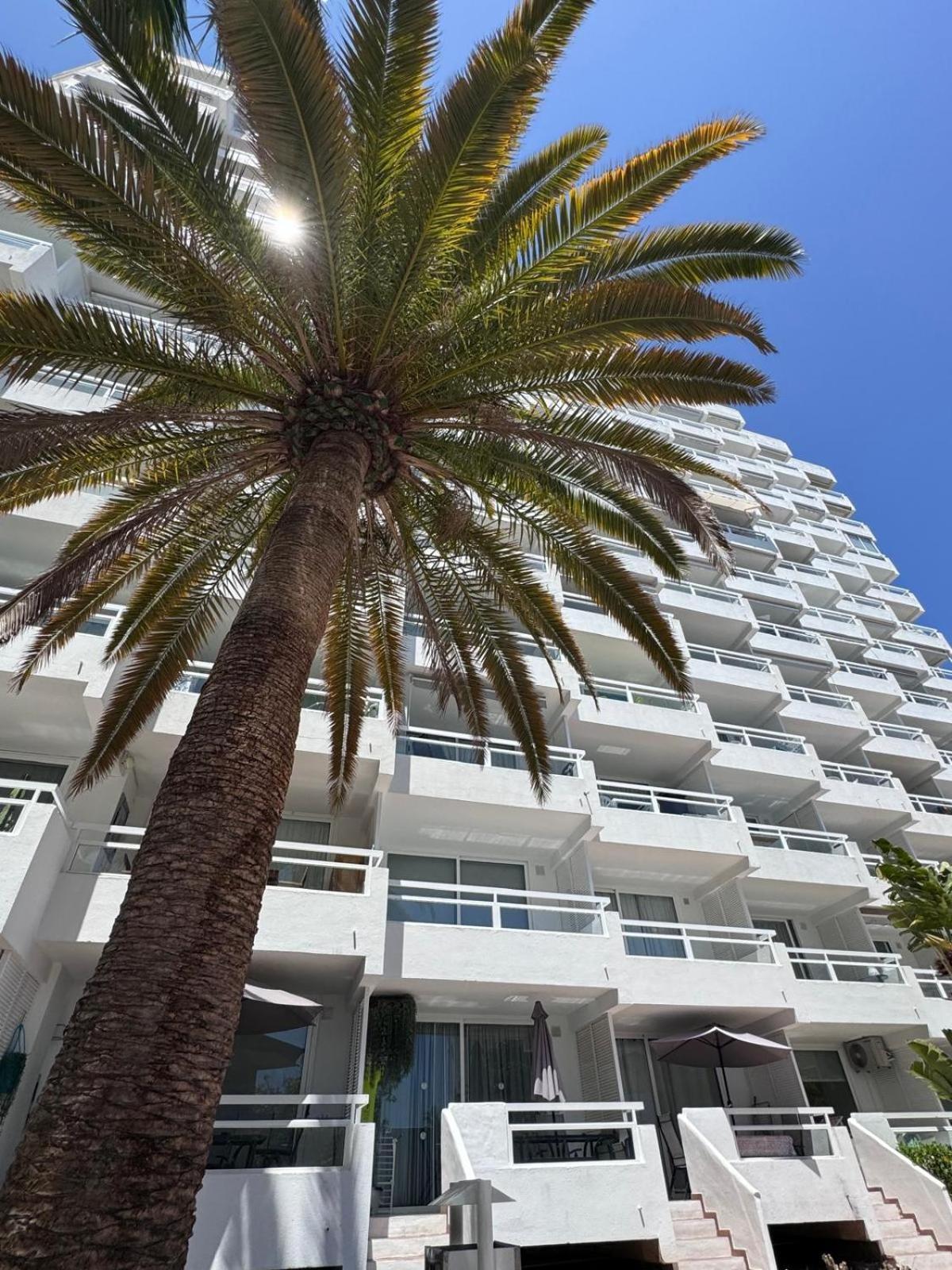 Jameo De Agua, Las Americas Studio Sea View Playa Feñabe 외부 사진
